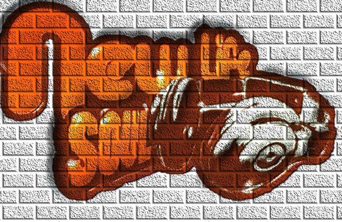 New Life Soul